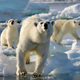Illustration for article titled Frozen Planet